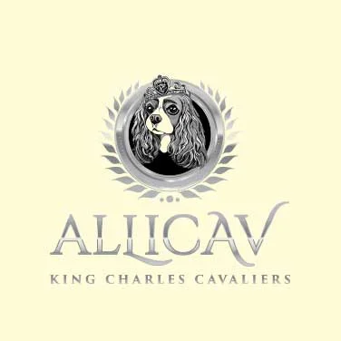Logo design project 4