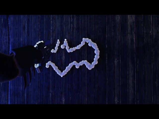 Video and animation project 11